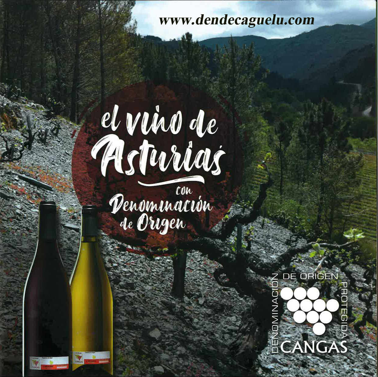 Denominaci N De Origen Protegida Vino De Cangas El Vino De Asturias